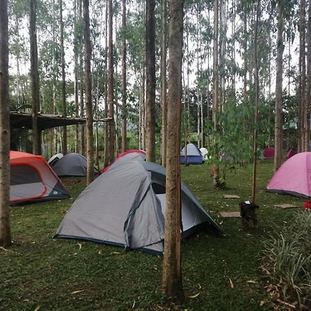Murchison Backpackers Masindi Εξωτερικό φωτογραφία