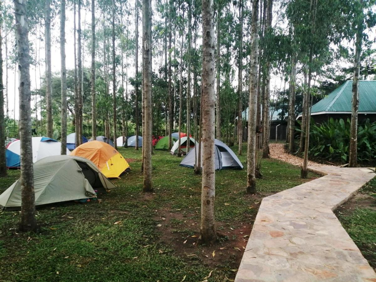Murchison Backpackers Masindi Εξωτερικό φωτογραφία
