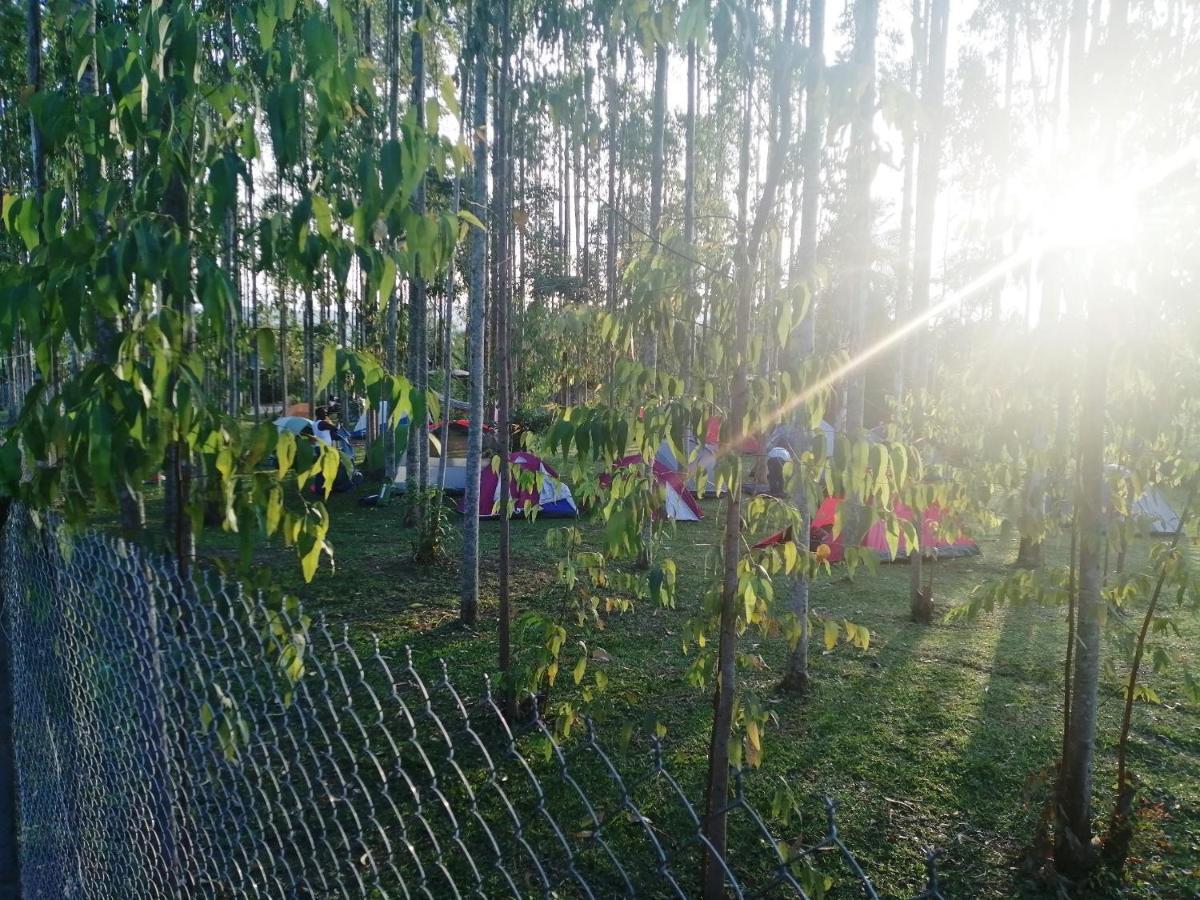 Murchison Backpackers Masindi Εξωτερικό φωτογραφία