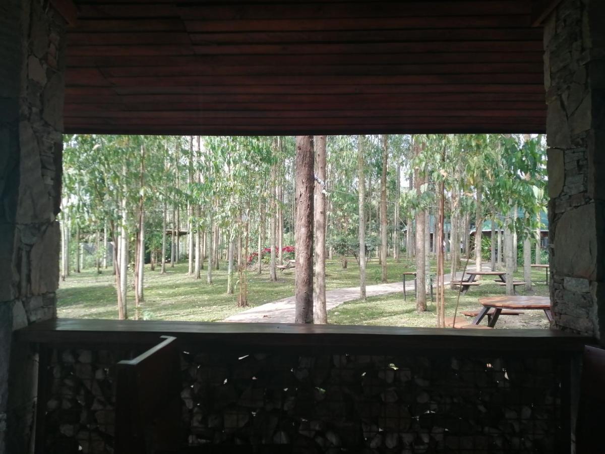 Murchison Backpackers Masindi Εξωτερικό φωτογραφία