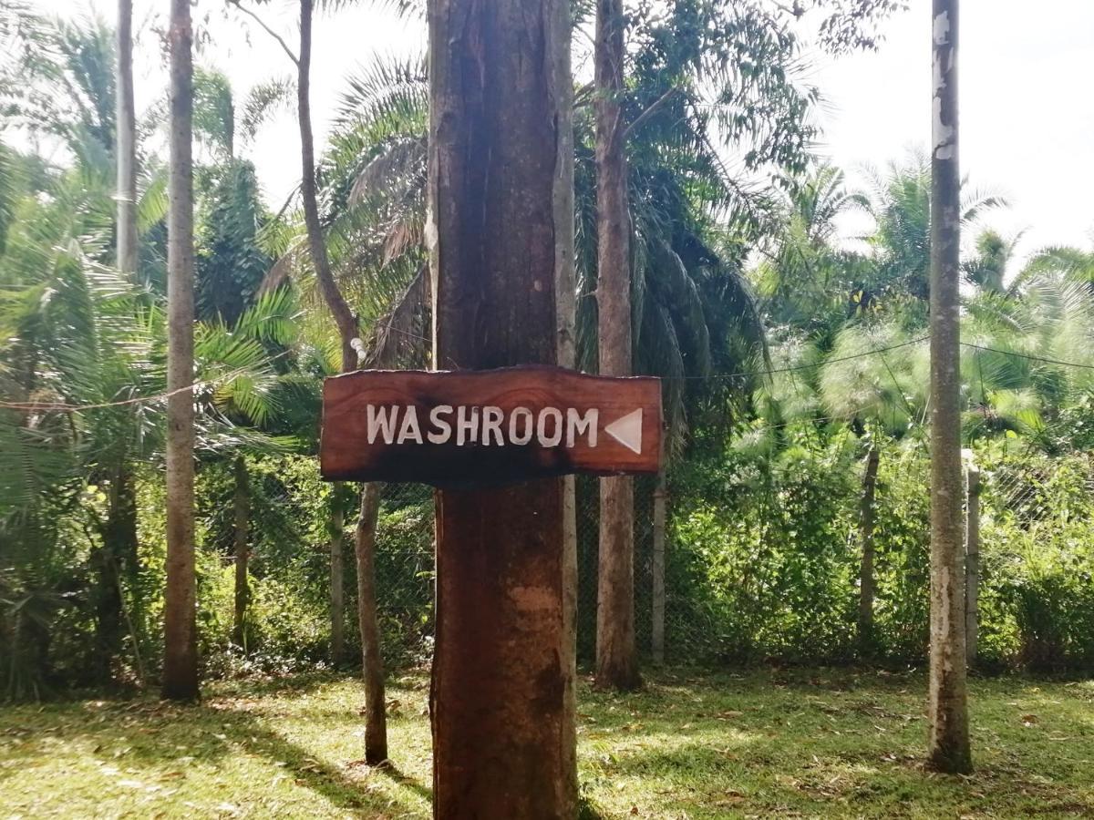 Murchison Backpackers Masindi Εξωτερικό φωτογραφία