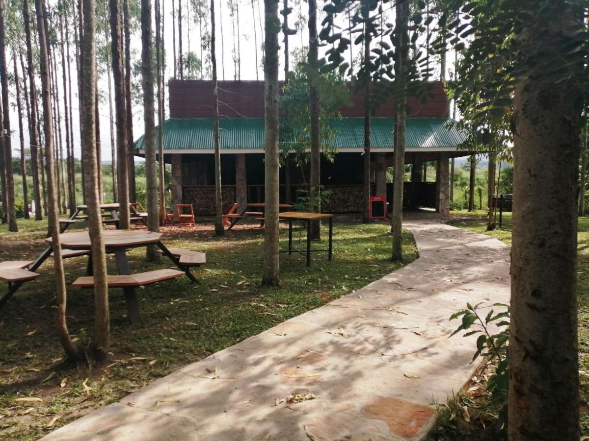 Murchison Backpackers Masindi Εξωτερικό φωτογραφία