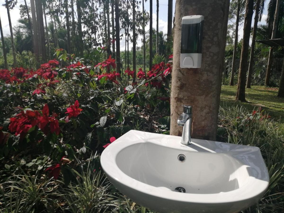 Murchison Backpackers Masindi Εξωτερικό φωτογραφία